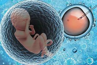 人工孕妈代怀助孕咨询怎么选